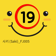 사키 (Saki)_FJ005