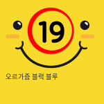 오르가즘 블럭 블루