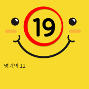 명기의 12