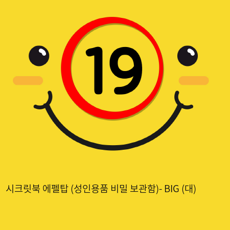 시크릿북 에펠탑 (성인용품 비밀 보관함)- BIG (대)